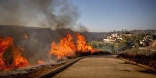 Local Authorities Crack Down on Rising Theft in City Center